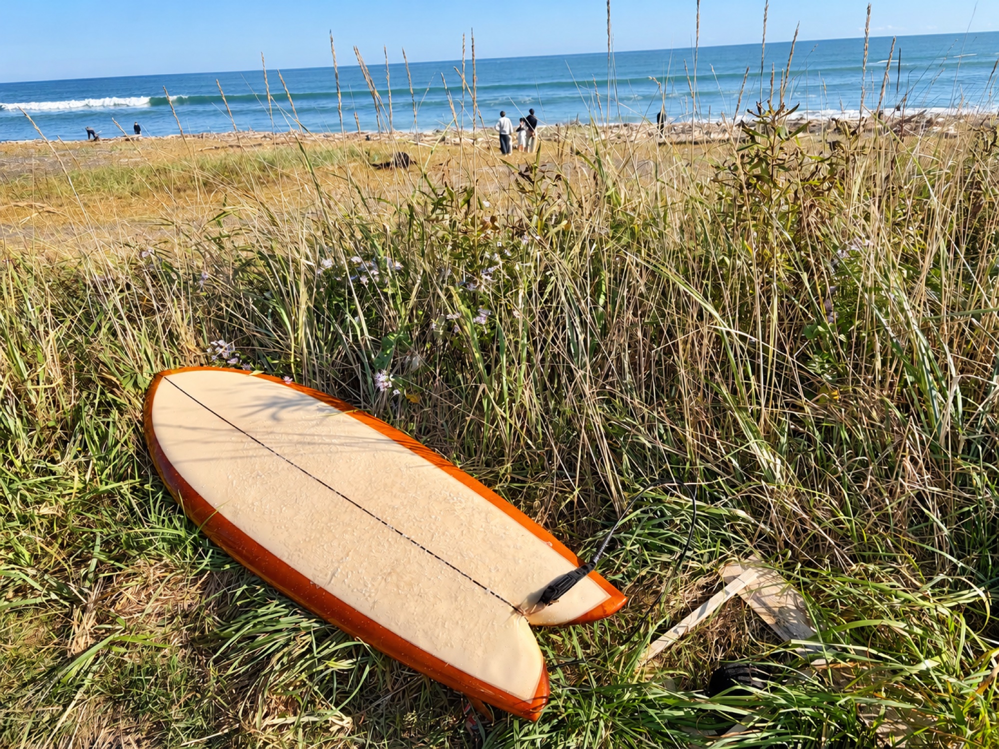 海を背景に、草地に置かれたサーフボード